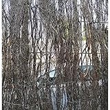 ✔️Fabricado en España. Suinga - Malla Brezo 1 x 3 Metros, ocultación del 75%, 1,7 - 2,1 kg/m2, para terrazas, Jardines y delimitación de parcelas