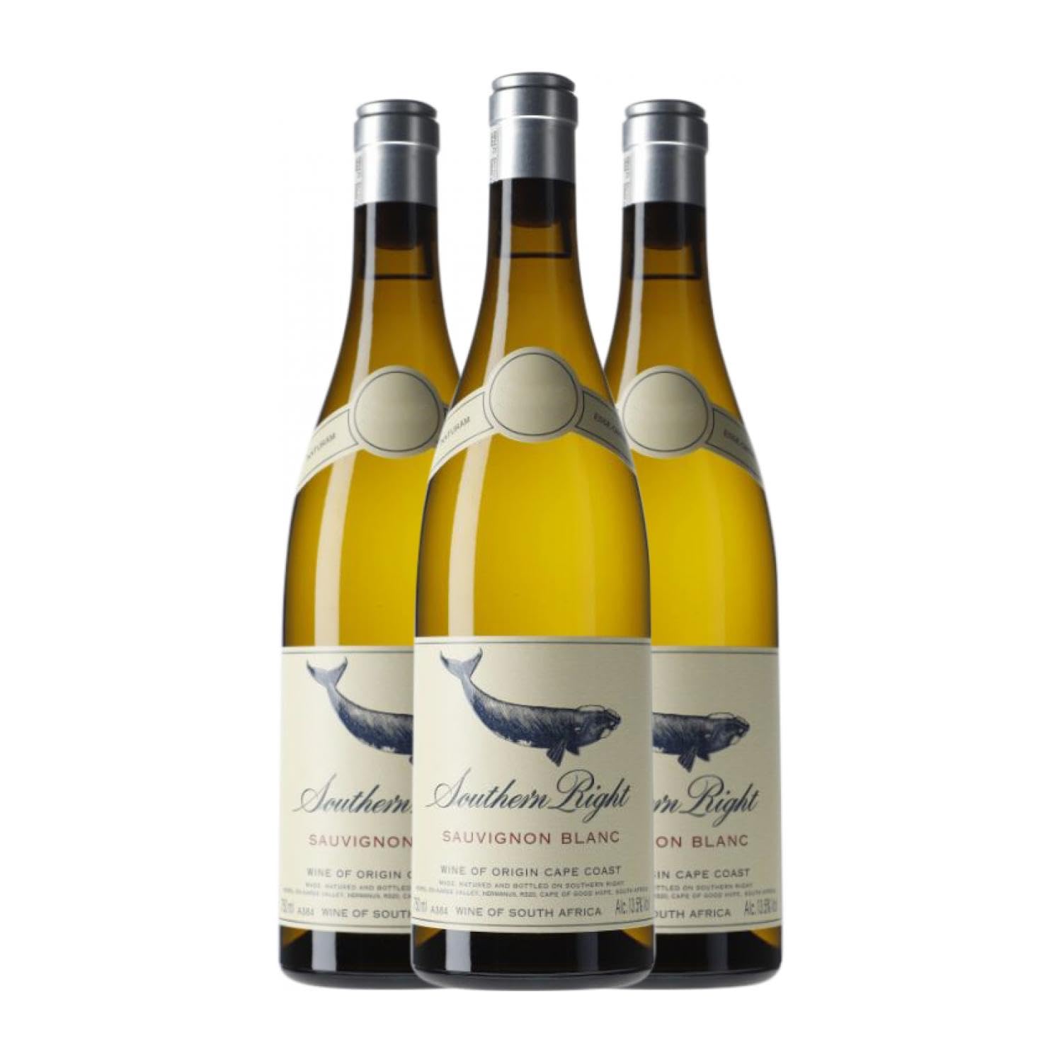 Southern Right Sauvignon Blanca Hemel-en-Aarde Ridge 75 cl Vino blanco (Caja de 3 Botellas de 75 cl)