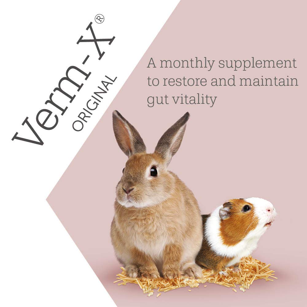 Verm-X Original All Natural Pellets for Rabbits Guinea Pigs and Hamsters. Approved for Use on Organic Farms. Supports Intestinal Hygiene. Vet Approved. Maintains Gut Vitality. Wormwood Free Recipe - Image 3