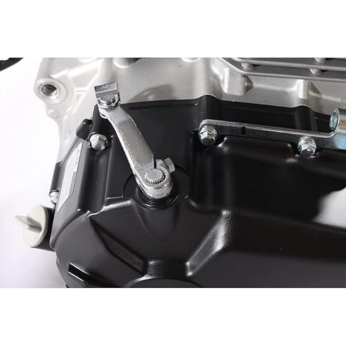 Miniatura 5 de X-PRO 250cc 4-Stroke 6 velocidades Contador equilibrado Dirtbikes Pit Bikes Zongshen Motor Motor con transmisión manual Arranque eléctrico