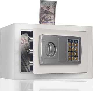 Piggy Bank Safe for Adult with Password, Large Metal Money Bank, Boy and Girl coin jar for Honeymoon Trips, Birthday Gifts, College Funds, Car Funds