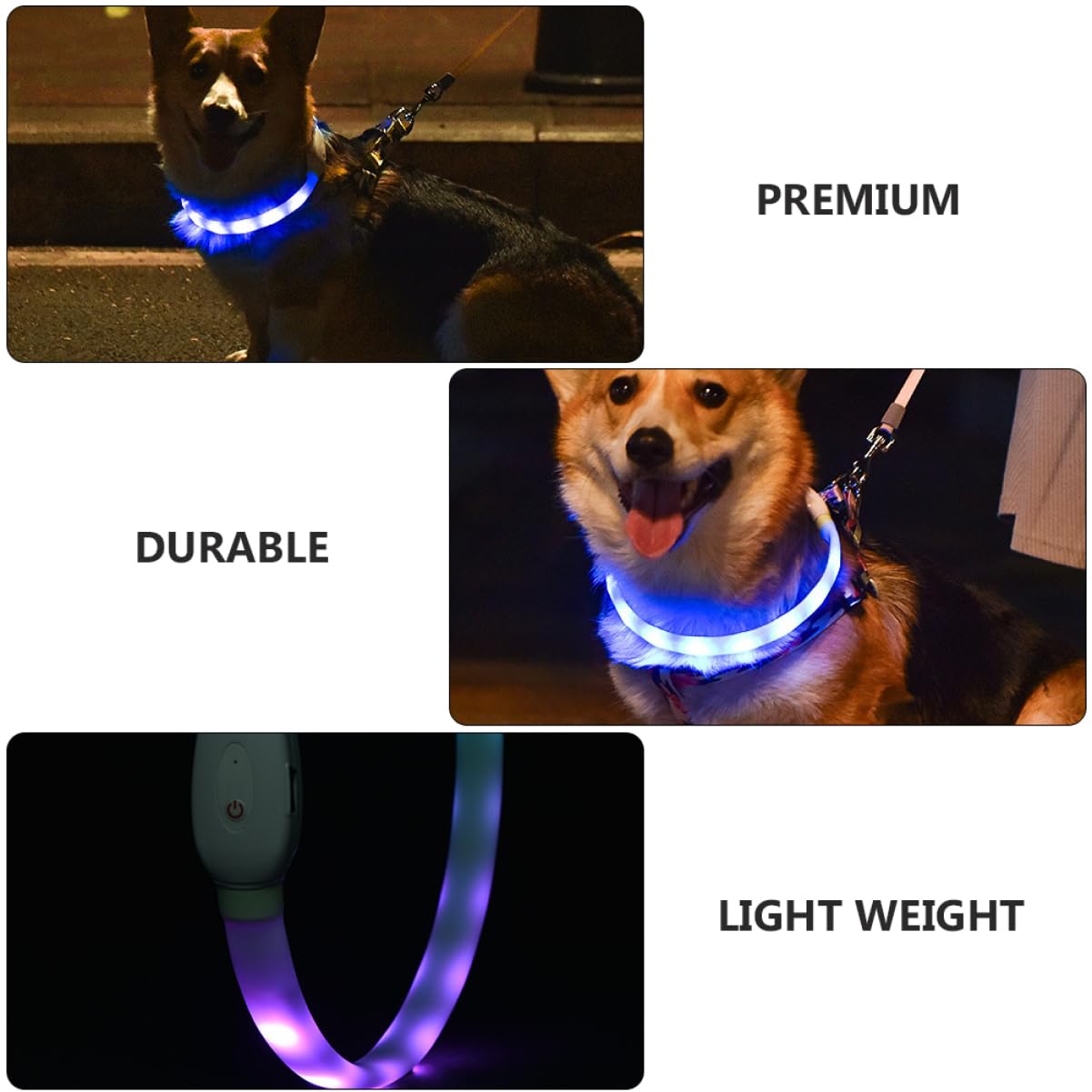 Mipcase 2ensembles Collier Lumineux pour Animaux De Compagnie USB Rechargeable Collier Clignotant LED pour Chien Sécurité Nocturne Et Confort Optimal