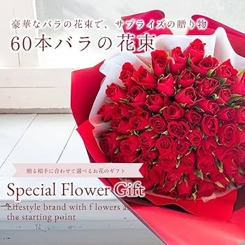 バラ60箱＋アニマルアソート2種 バラ60箱＋アニマルアソート2種
