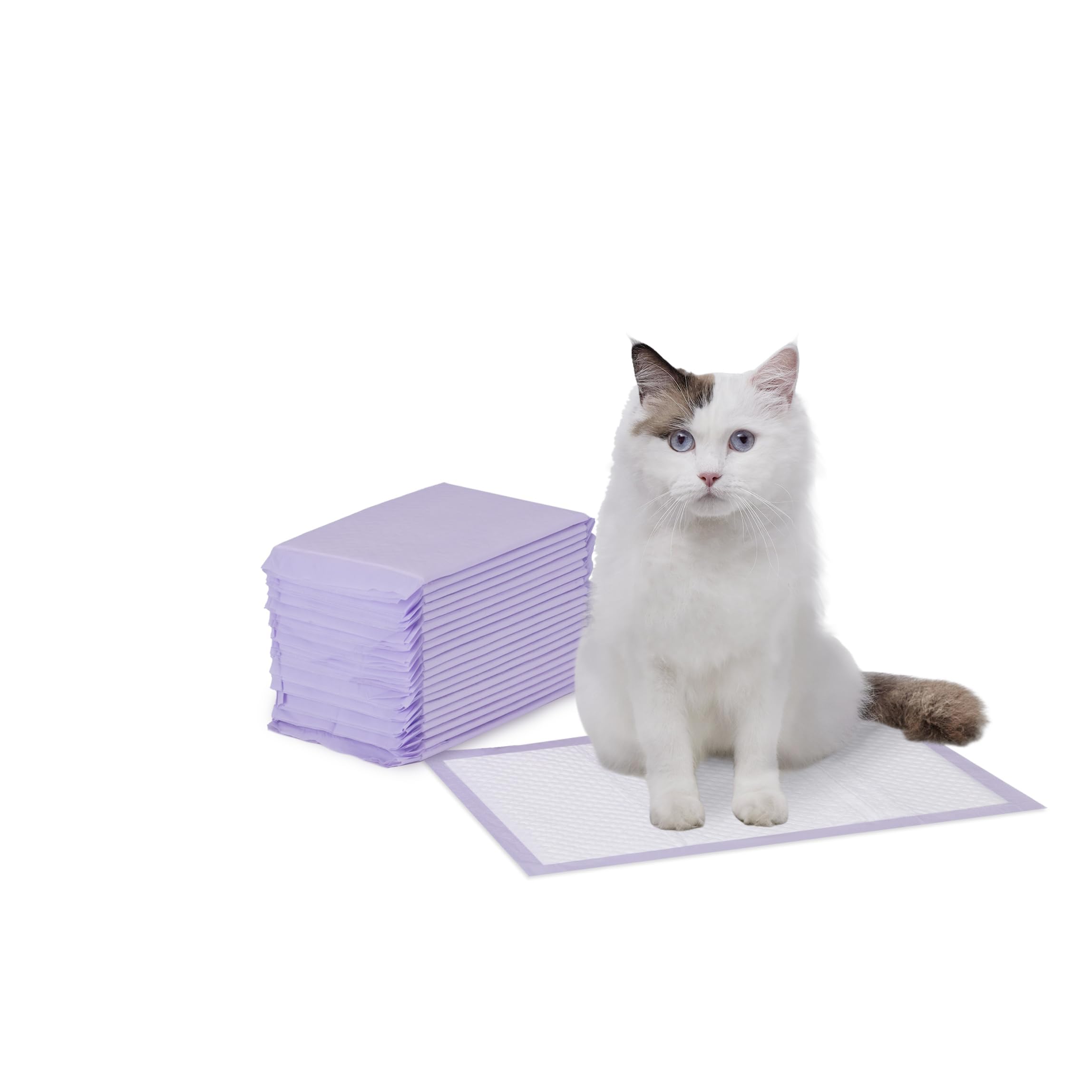 Amazon Basics Katzenstreu-Pads, 20er-Pack, duftfrei, Lila und weiß