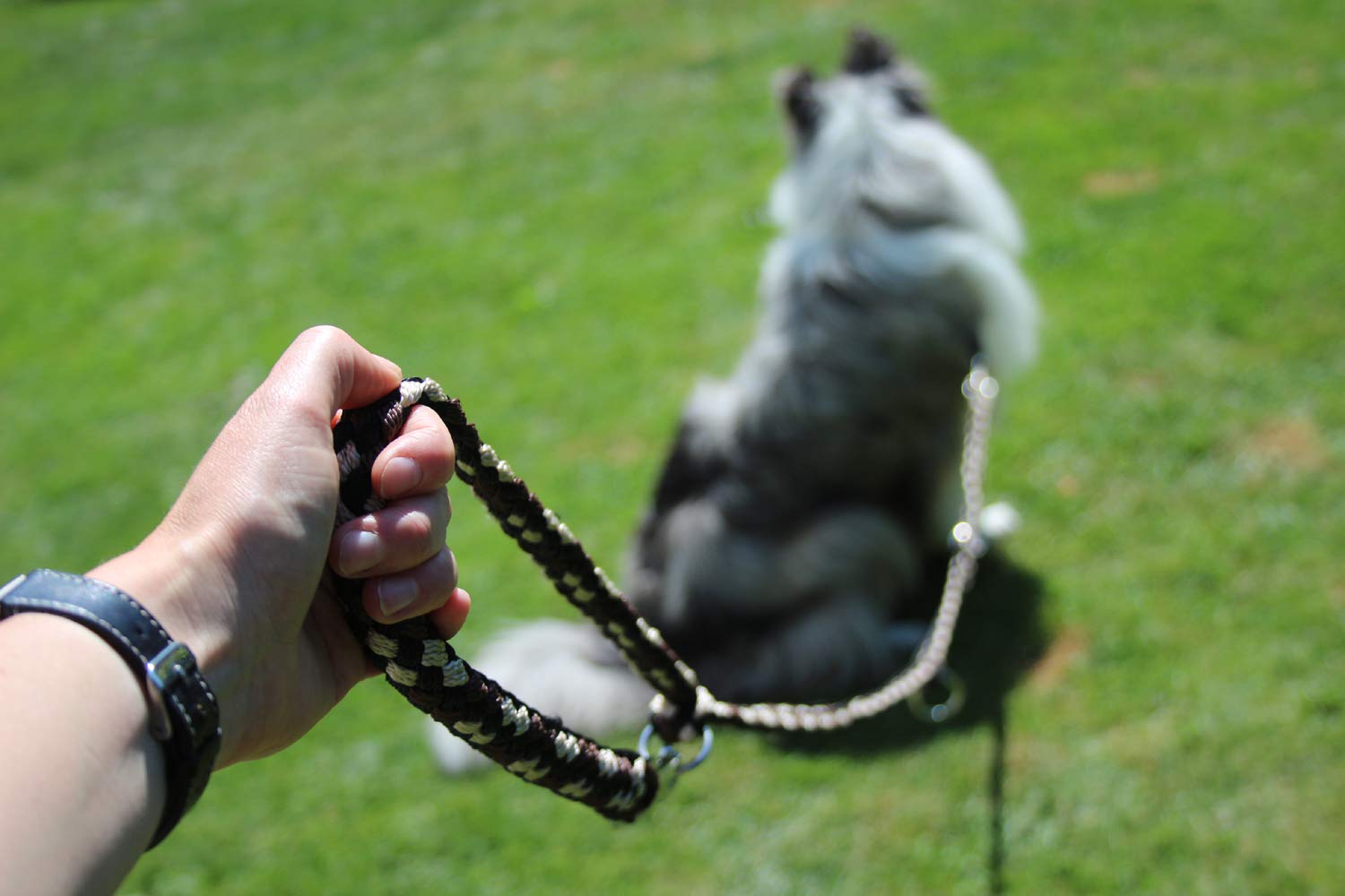 Guinzaglio per cani intrecciato, multilaterale, regolabile in 4 posizioni, lunghezza 2,80 m, rotondo, diametro 15 mm, per cani grandi e grandi, Made in Germany