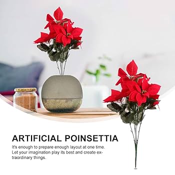 Amazon.co.jp: HEALLILY クリスマスの赤いポインセチアの茂み