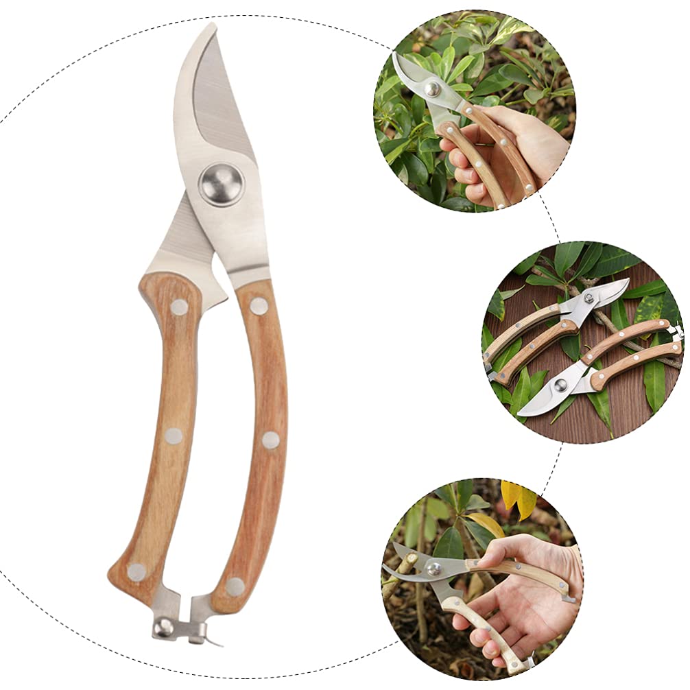 Cabilock 1pezzi Forbice Da Potatura in Acciaio Inox Robusta Per Alberi Fruttiferi Forbici Da Giardino Fibbia Di Sicurezza Attrezzi Per Potatura Rami Fiori Arbusti