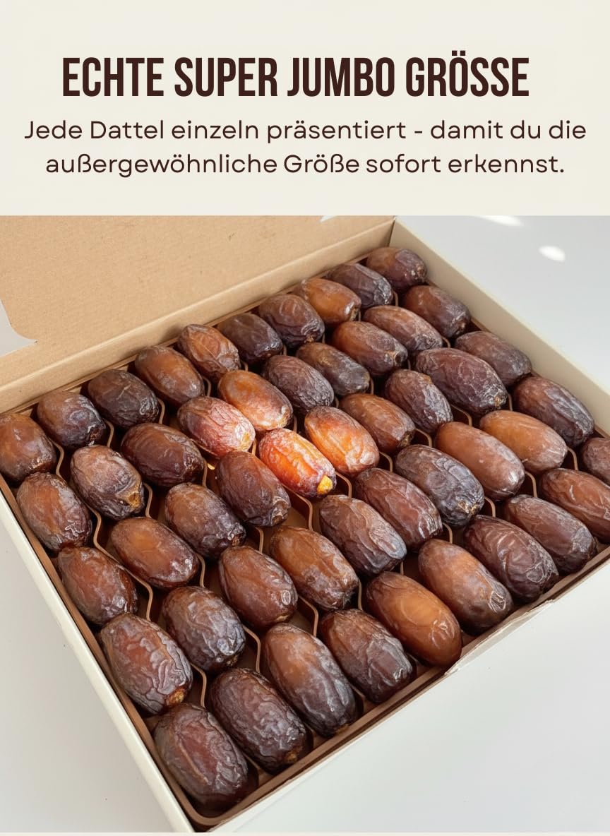 SUPER JUMBO Medjool Datteln 1,6kg - Direkt aus Palästina - Jede Dattel einzeln präsentiert - LIMITED EDITION!- Sichtbar selektierte Premium Qualität - weich & saftig
