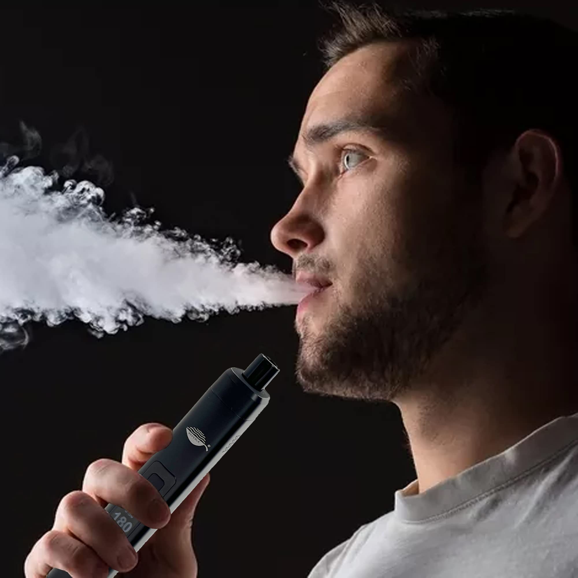 Vaporizer Vapeble moderner Konvektion Verdampfer Glasmundstück, Metallgehäuse wechselbare 3200 mah Batterie, OLED Display stufenloser Temperaturreglung - Verdampft Kräuter, Harze Öle - Kein Nikotin