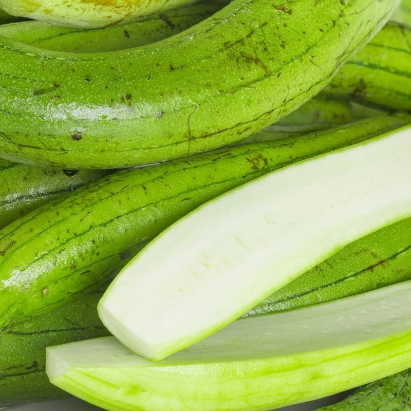 Miniatura 4 de 20 semillas suaves de calabaza Luffa calabaza de esponja larga, semillas de calabaza Luffa