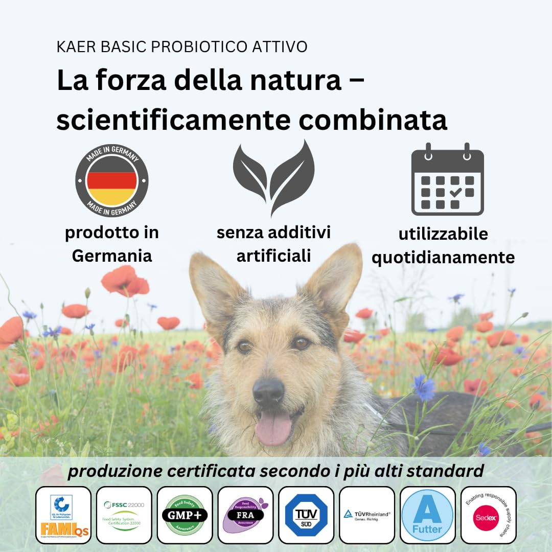 Probiotici per Cani con Batteri Vivi – Fermenti Lattici in Polvere per Flora Intestinale, Disintossicazione intestinale e in caso di diarrea, Gonfiore e Cura Post Antibiotici 500g