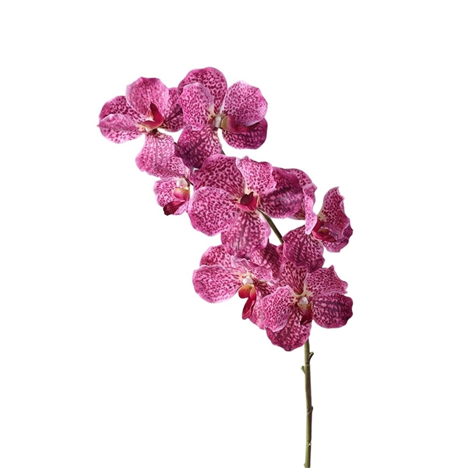 LSYHHXC Artificial Orchid 80 CM Artificial Vanda Orchid Moisturizing Phalaenopsis Branch Large Flower Realistic Real Touch Orchids