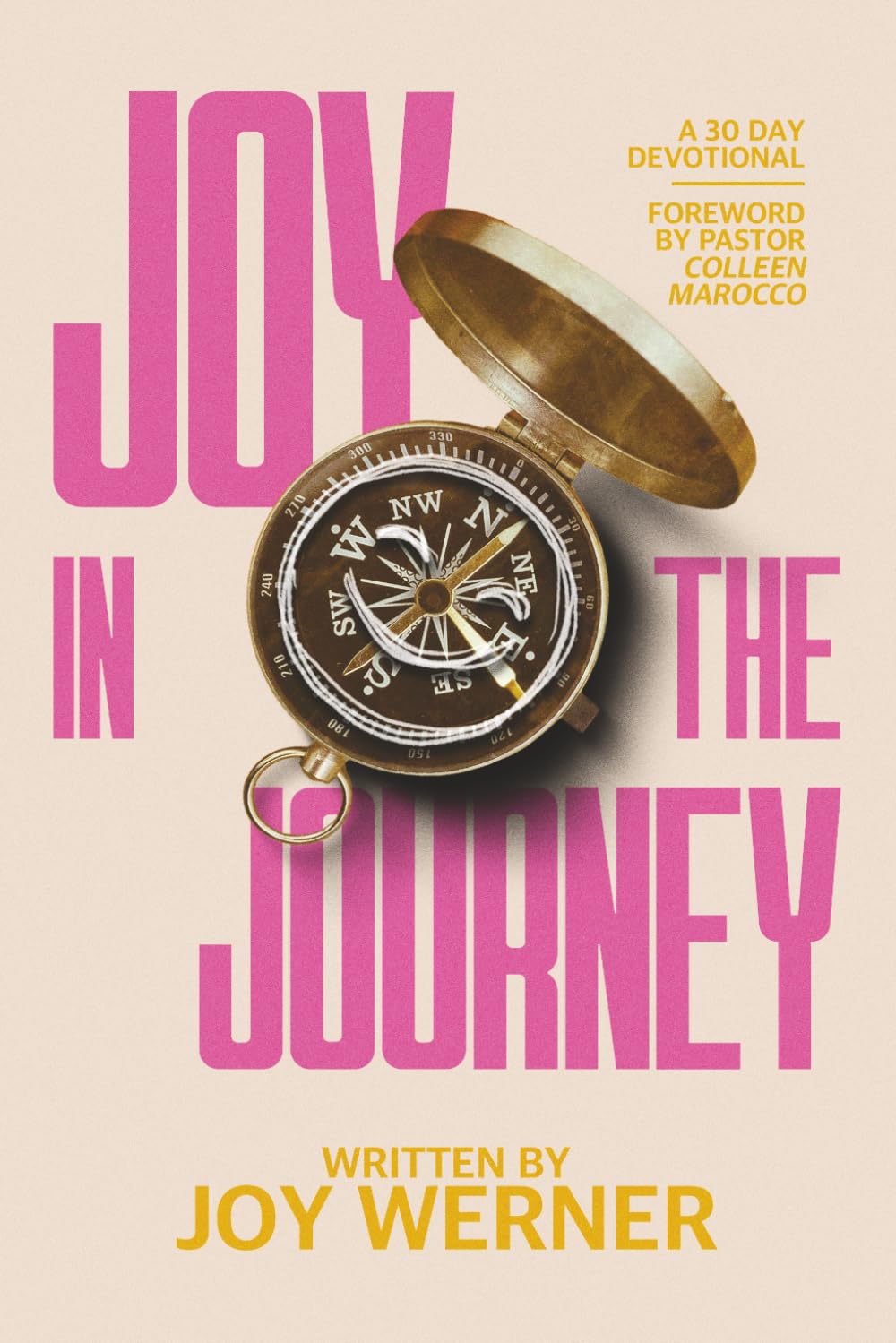 Joy In The Journey: A 30 Day Devotional
