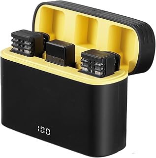 Ranana Wireless Lapel Microphone - Lavalier Lapel Microphone With Receiver - 2 Pack Plug-Play 8h Battery Life Clip On Mic With Digital Charging Case, Mini Noise Reduction For Video Recording, Vlog