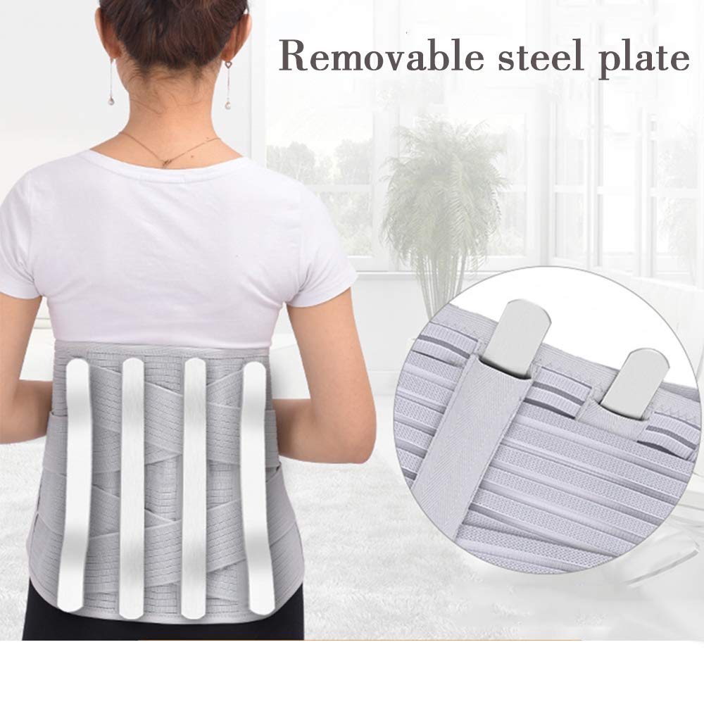 Fascia Lombare Supporto Schiena, Cintura Lombare di Sostegno in Rete Traspirante Cinturino Antiscivolo Regolabile Incorporata 4 Stecca Stabile per Il Sollievo dal Mal di Schiena,L