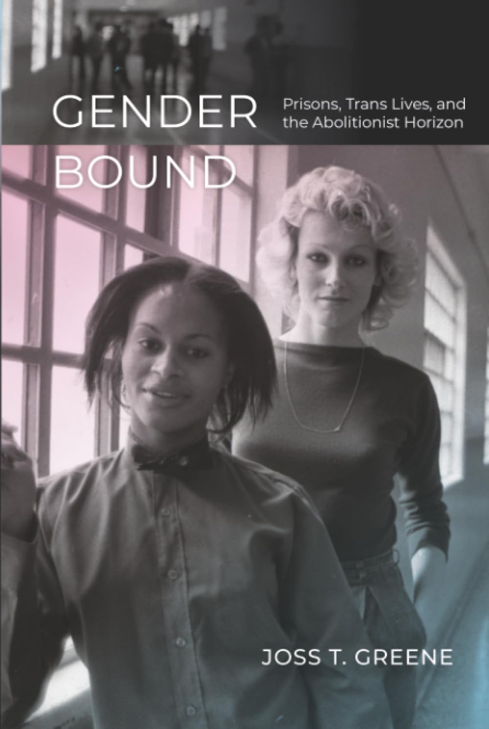 Gender Bound: Prisons, Trans Lives, and the Abolitionist Horizon