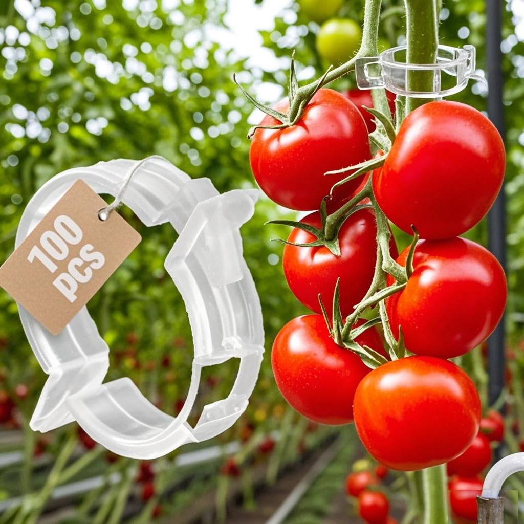 100PCS Plant Support Clips - Tomato Plant Support, Reusable Garden Clips for Climbing Plants, Plant Support Clips for Tomato Fruit Vegetables Vine (White)