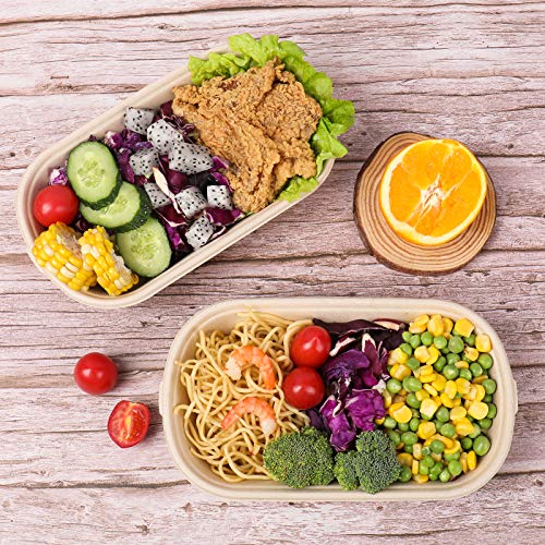 Jayeey 23Oz Disposable Bowls With Lids, Sugarcane Fiber Biodegradable Paper Bowls Take Away Food Containers Meal Prep Food Storage Deli Container Eco-Friendly Microwave & Freezer Safe 50 Pack #TOP4
