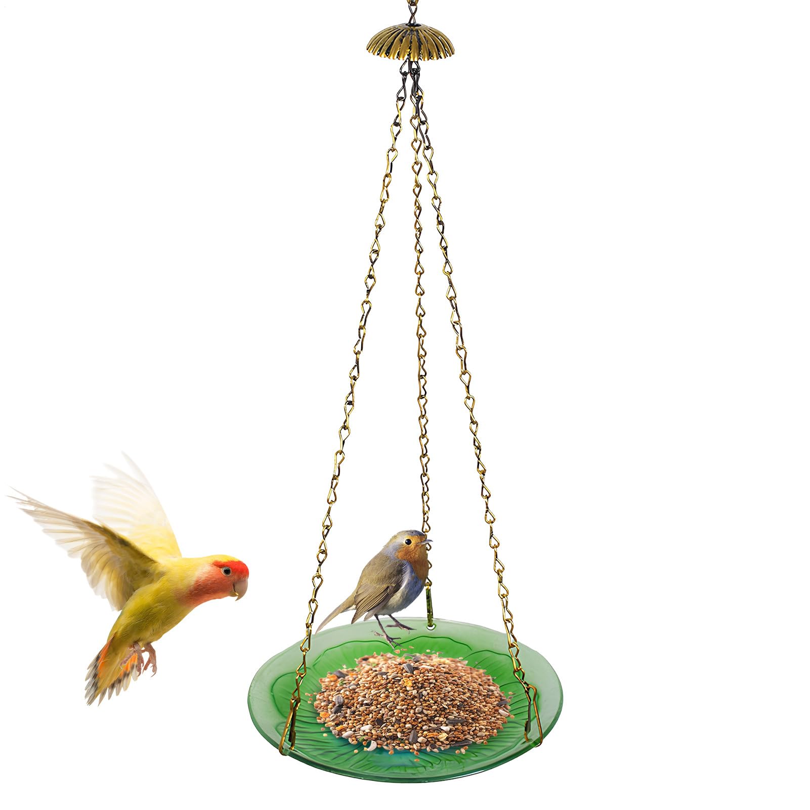 Distributeurs de pour colibris d'extérieur, abreuvoir de jardin et arrière-cour