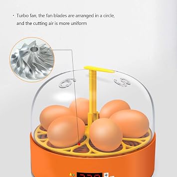 Mini Egg Incubator 6Eggs,Eggs Hatcher with Automatic Turner with Humidity,Incubators for Hatching Chicken Duck Goose Quail Fertilized Eggs(A 6Eggs)