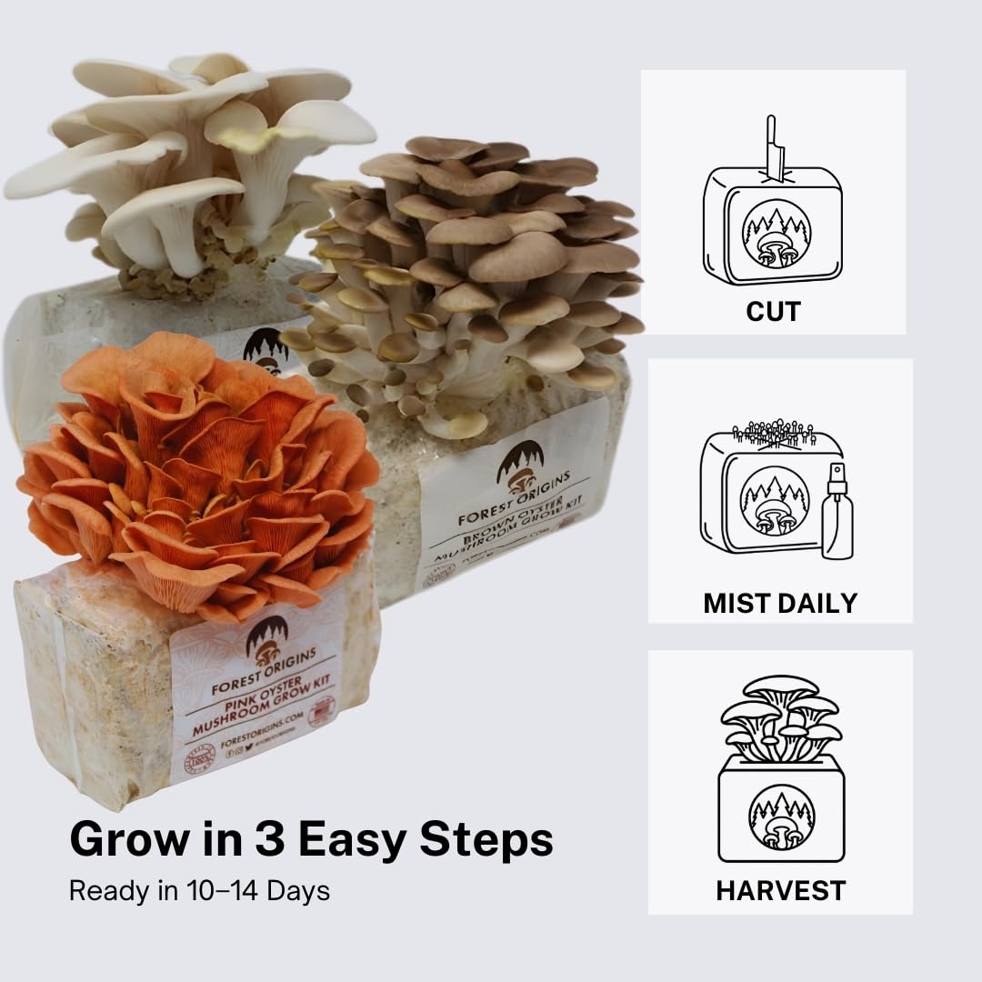 Forest Origins Kit de culture de champignons – Lot de 3 (rose, marron, huître blanche) | Kit de culture d'intérieur | Sans OGM, facile à cultiver en 10 jours | Fait à la main en Californie | Cadeau
