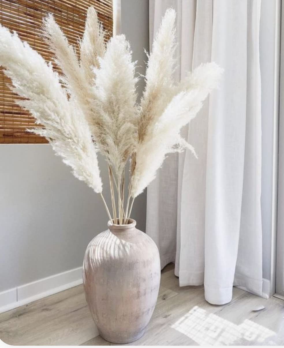 Buy White Pampas Grass White Pampas Grass Decor Tall Fluffy 3 Stems 