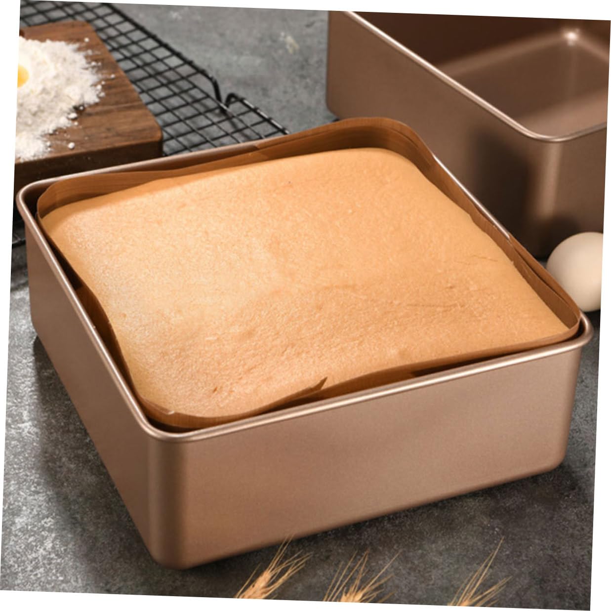 Edelstahl Backform Kuchenform Quadratisch 21X21X8cm Hitzebeständig Antihaft Mehrzweck Backform für Kuchen Käsekuchen Pizza und Snacks
