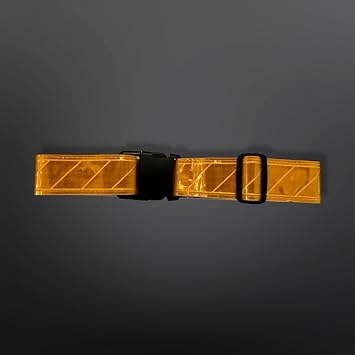 Reflective Web Belt Gold