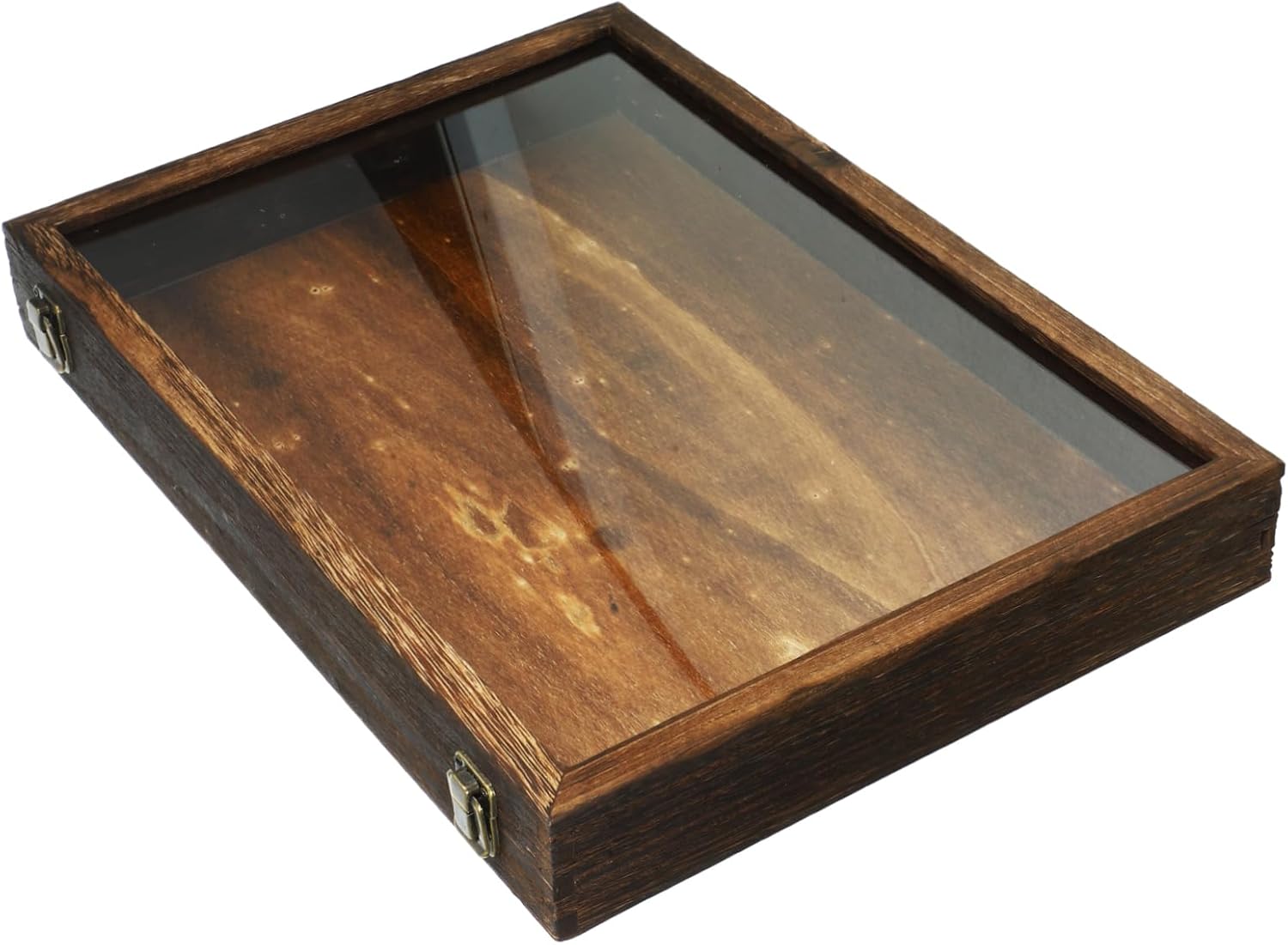 Capacity Insect Storage Box Specimen Frame Case Pin Collection Display