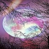  Rock Bajo la Luna