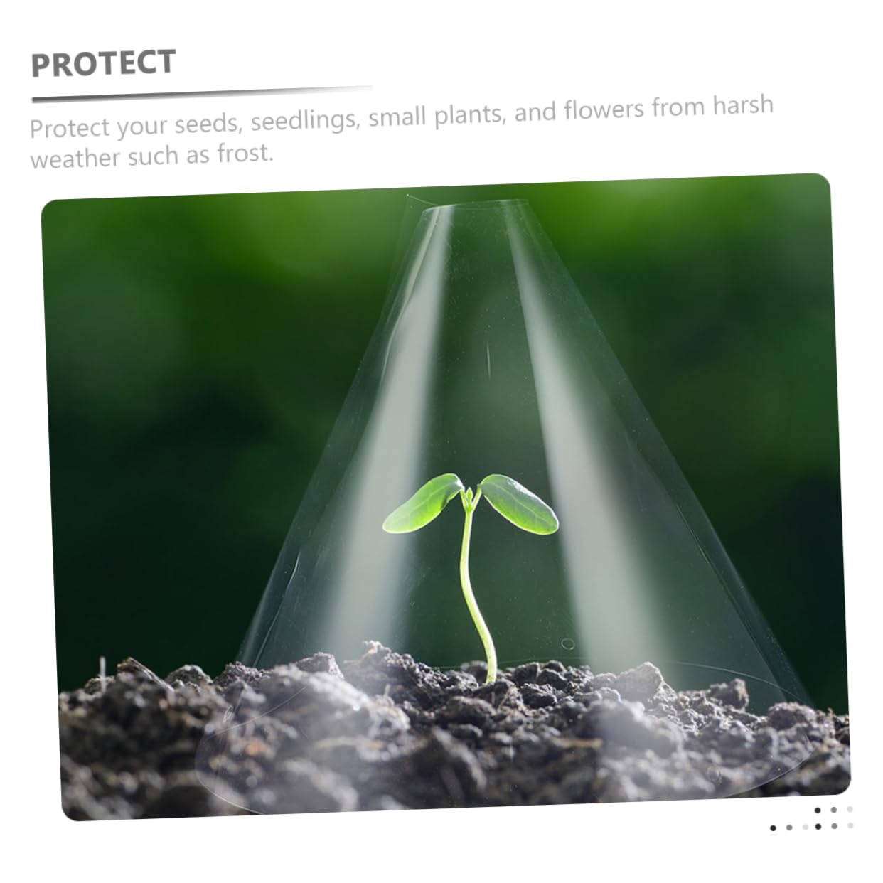 Cloche de Protection pour Plantes, Lot de 30, Plastique Réutilisable