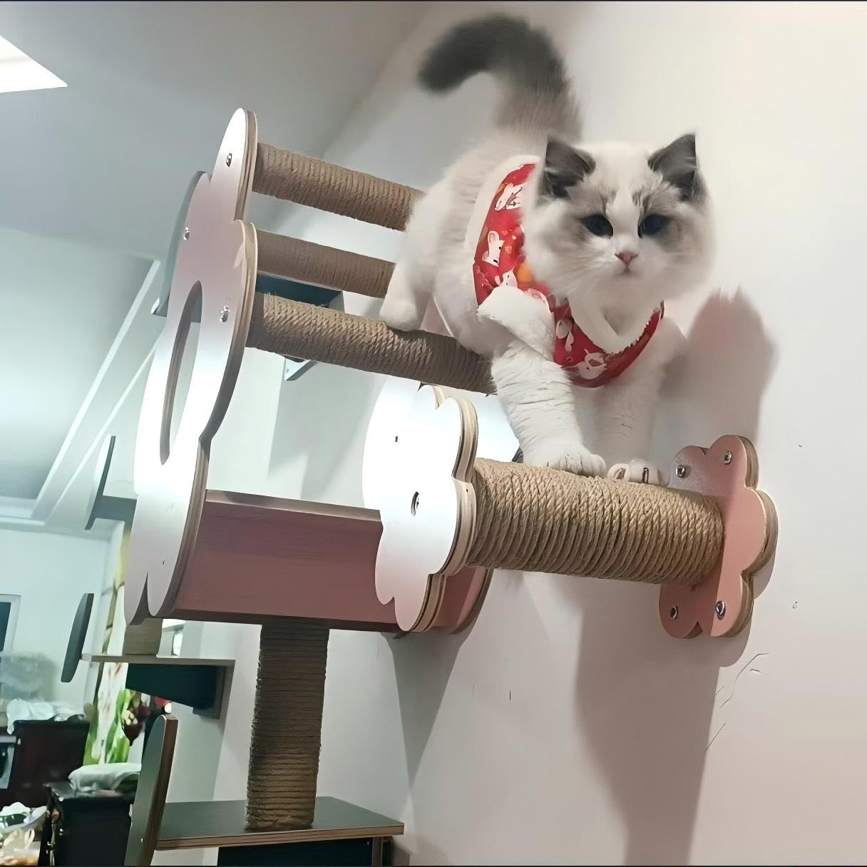 Scaffale da parete per gatti per arrampicarsi, tiragraffi e posatoio da parete, piattaforma per gatti per arrampicarsi, giocare, graffiare e fare un pisolino