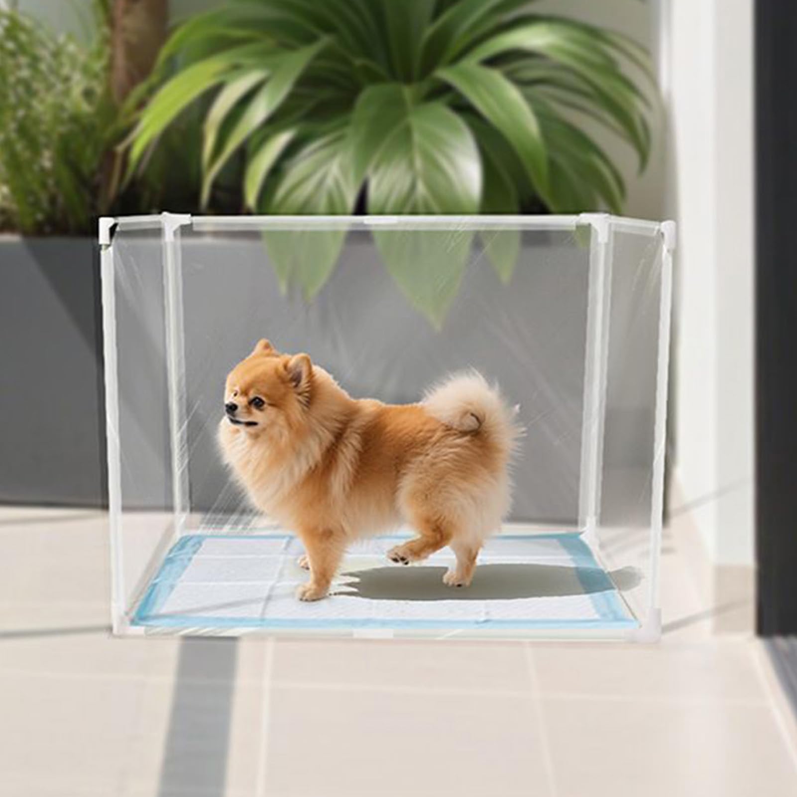Parapetto per Lettiera - Schermo Paraspruzzi per Recinzione Vaschette Facile da Pulire,Kit Addestramento Trasparente Privacy per Cani | per Camera Dormitorio Appartamento Casa Balcone