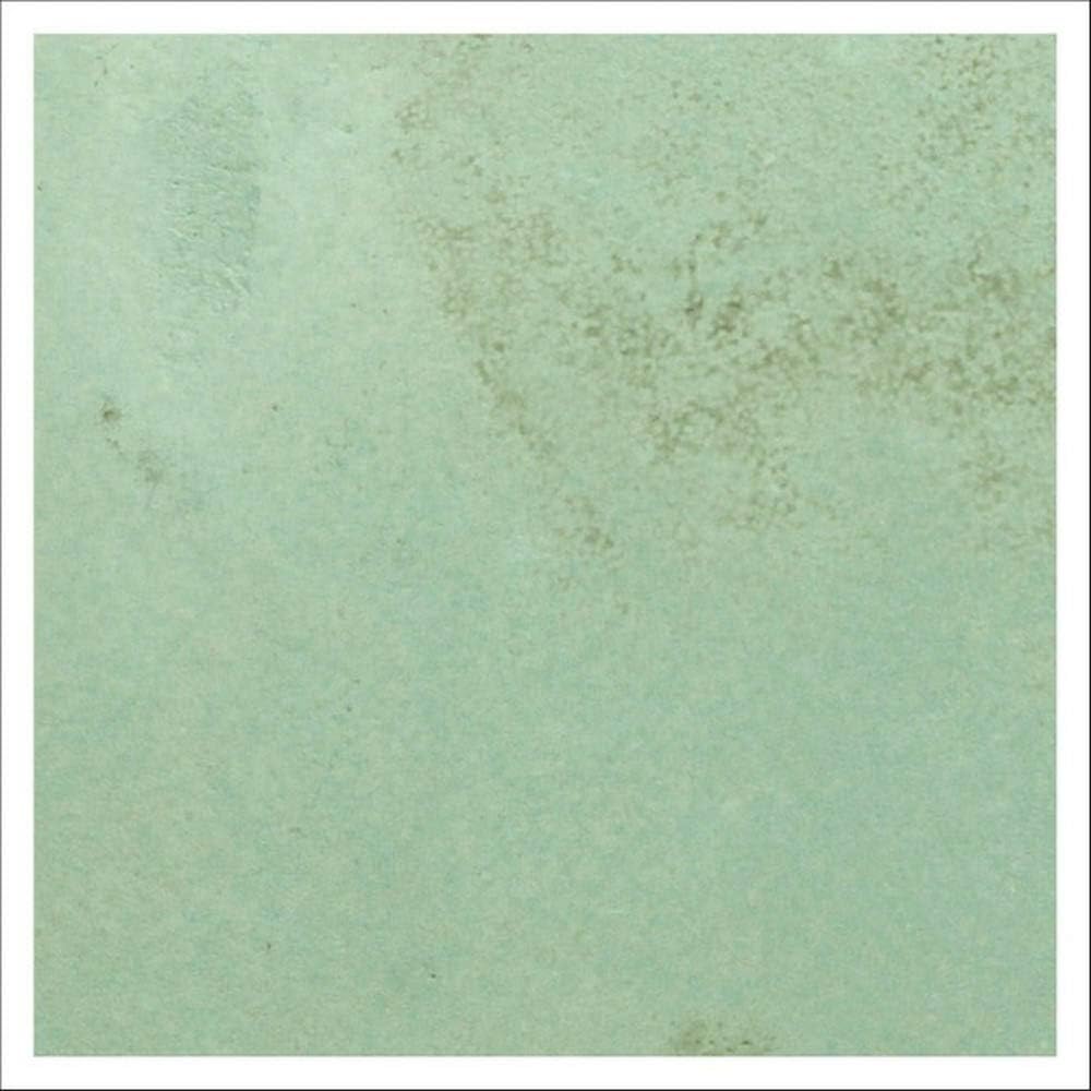 | Re-Ax: Reactive Concrete Stain for Concrete, Masonry, Stucco, Mortar, Grout, & Cement Surfaces (1 GAL Bottle) - Similar to Acid Stain w/o Need to Neutralize