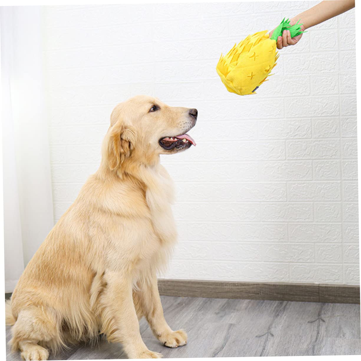 Jouet Ananas pour Chien Jouet à Mâcher Interactif à Renifler pour Chien Lavable
