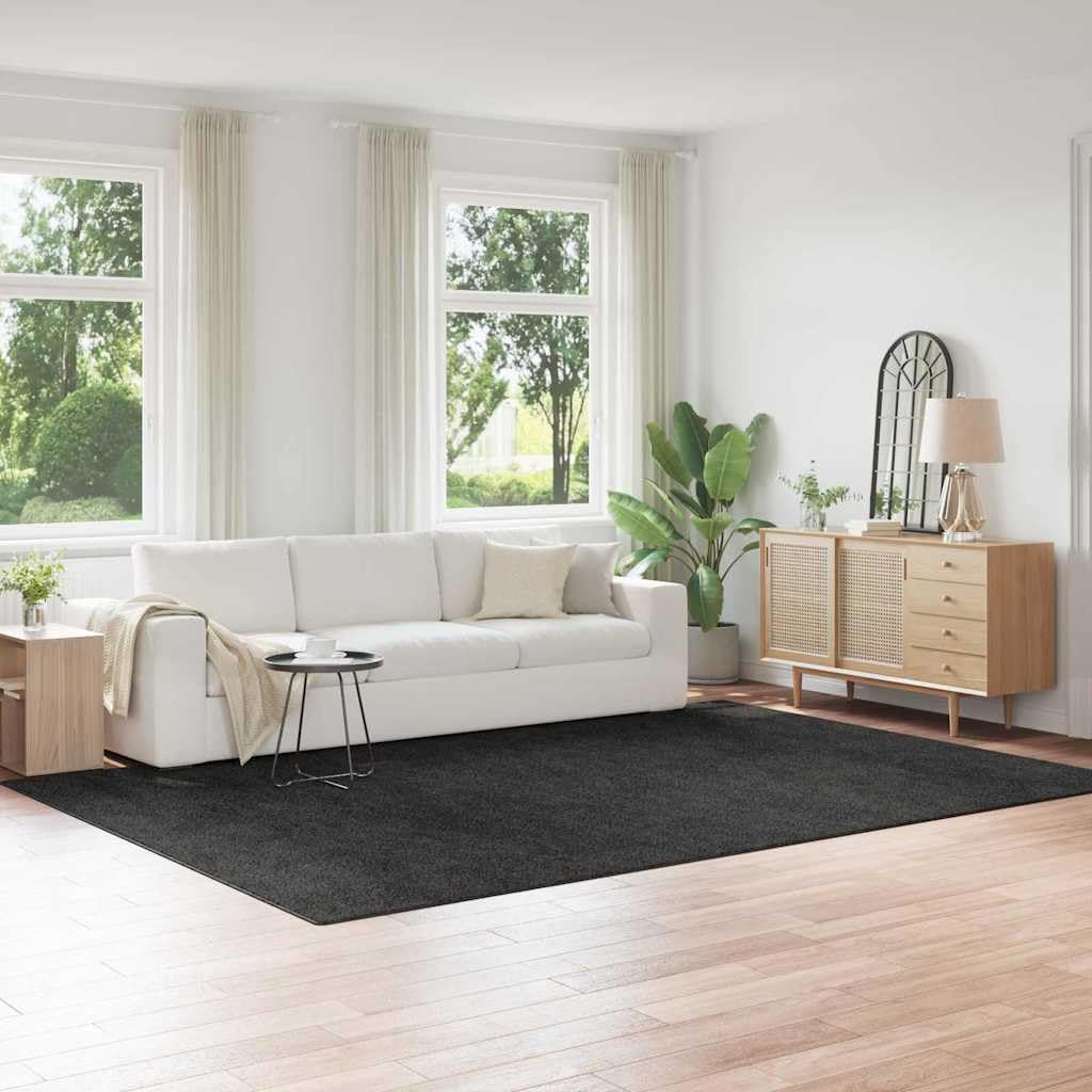 Alfombra Shaggy Gris Oscuro 240x340 cm QUAHEAS Antideslizante