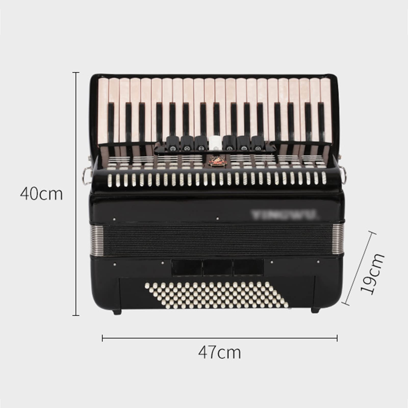 Fisarmoniche a Piano Professionale, Fisarmonica a 37 Tasti 96 Bassi, con Tracolla Regolabile e gig Bag,Nero
