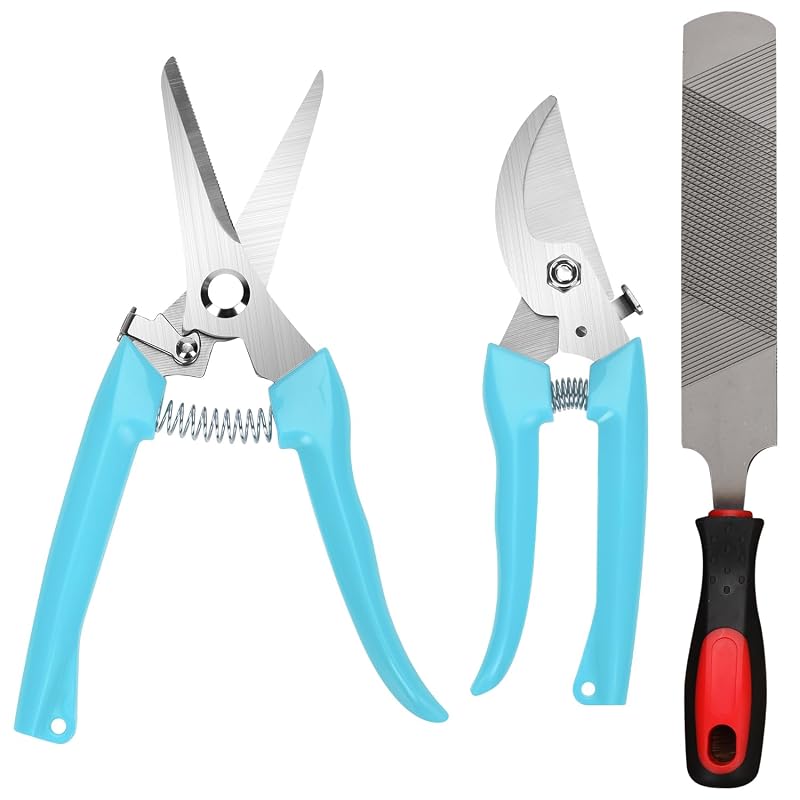 Kit de Ferramentas para Cascos de Caprinos PEUTIER com 2 Alicates e Lima, Azul, Tamanho M, 3 Peças