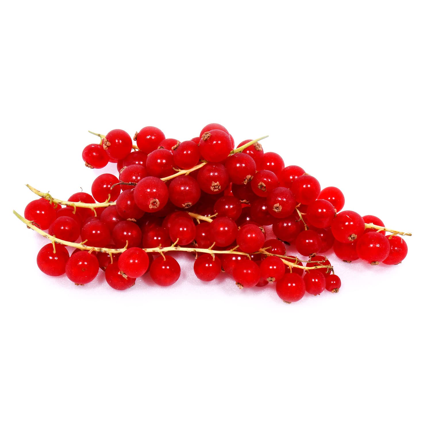 Red Currant Holland 1pkt - 125 Grams