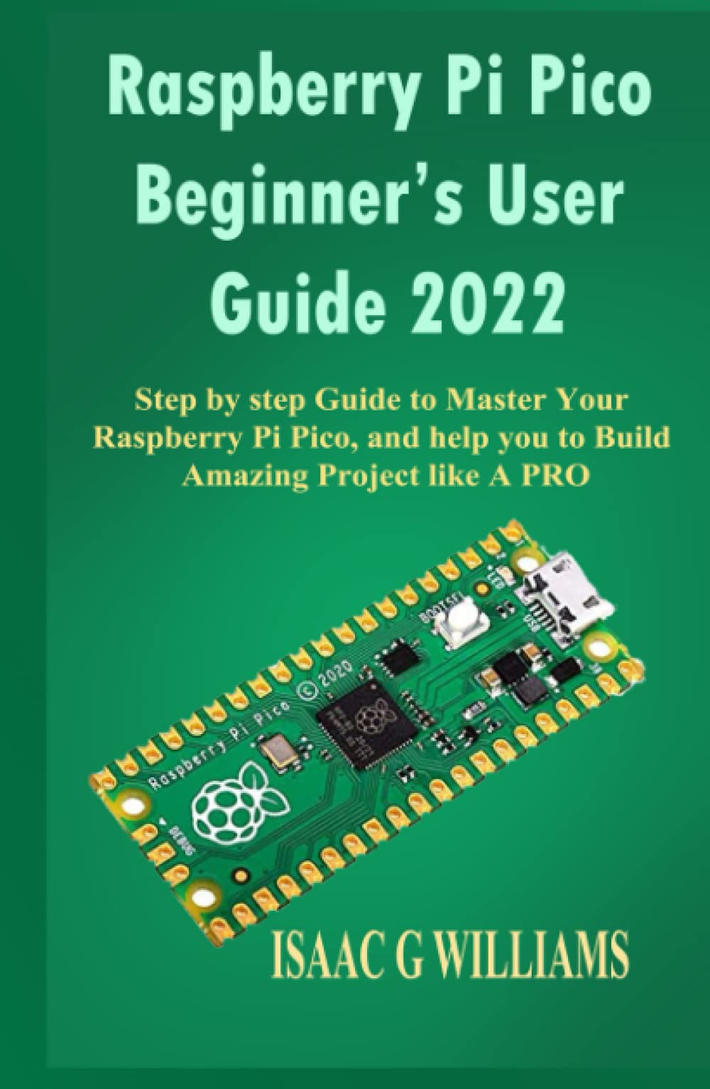 Buy Raspberry Pi Pico Beginner’s User Guide 2022: Step by Step Guide to ...