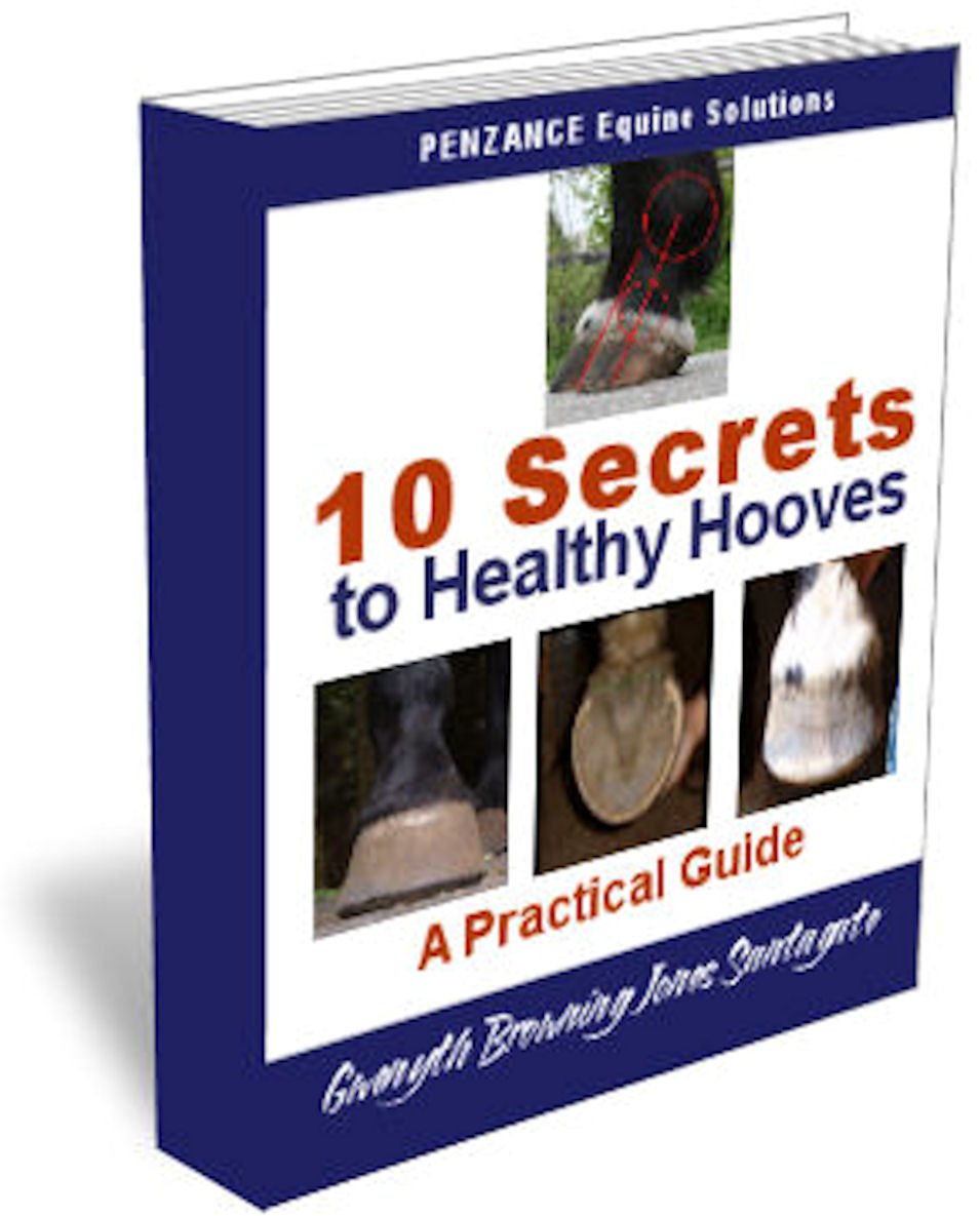 10 Secrets to Healthy Hooves