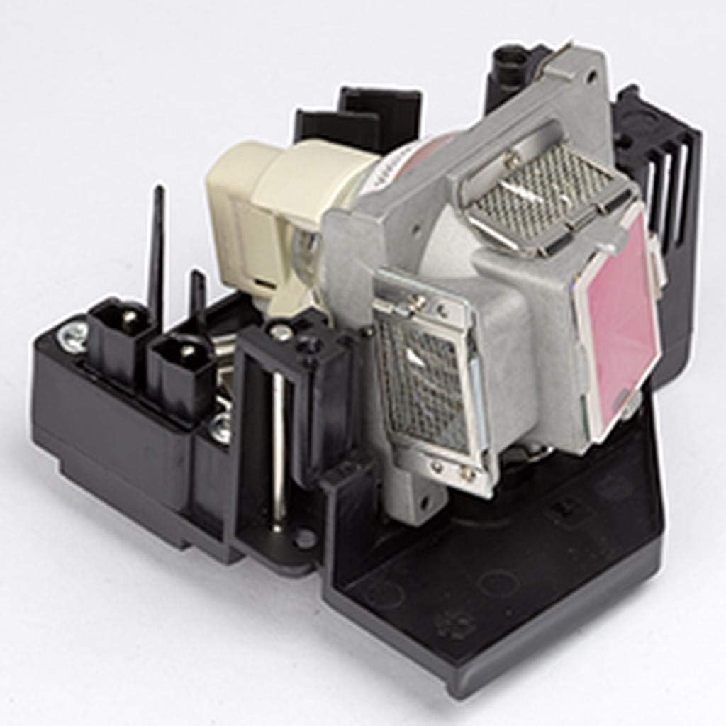 野原工芸 斑紋黒染色 シーオーク SANZ銀クリップ 固定式口金付属