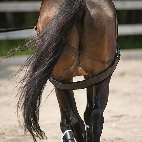 Miniatura 7 de Sistema de entrenamiento de equilibrio Dura-Tech: juego completo esencial para entrenamiento de caballos | Mejora el impulso hacia adelante |