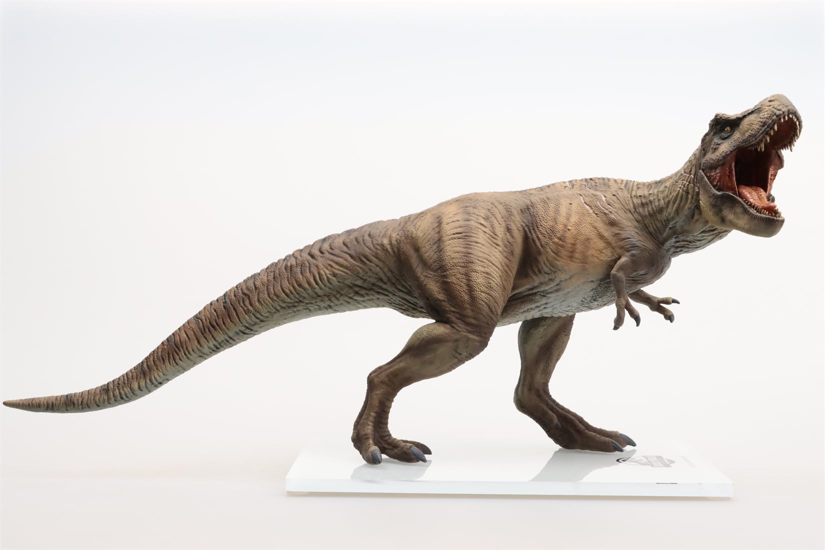 dino dream ジュラシックワールド ティラノサウルス夜バージョン dino dream ジュラシックワールド ティラノサウルス夜バージョン