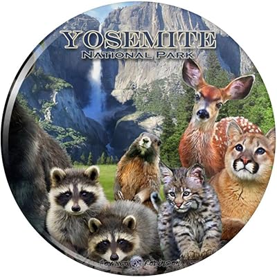 Yosemite National Park California CA Pinback Button Pin