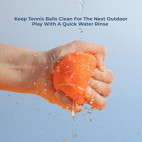 Vista 223 de Best Pet Supplies - Juguetes para cachorros y perros adultos, crujen y hacen chirridos, pollo (azul)