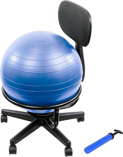 CanDo Silla de bola de metal  Silla de bola de ejercicio ergonómica inflable con bomba de aire para el hogar, la oficina y el aula
