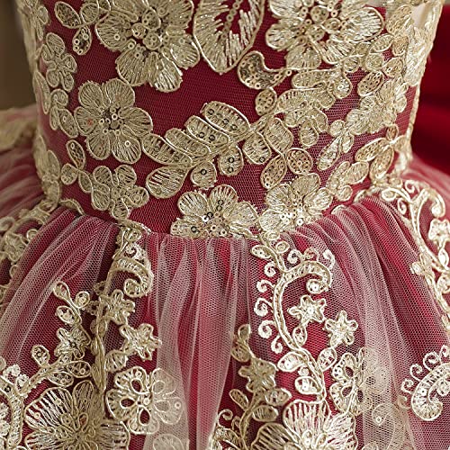 Image of HNXDYY Little Girls Princess Dress Girls Fancy Party Costume