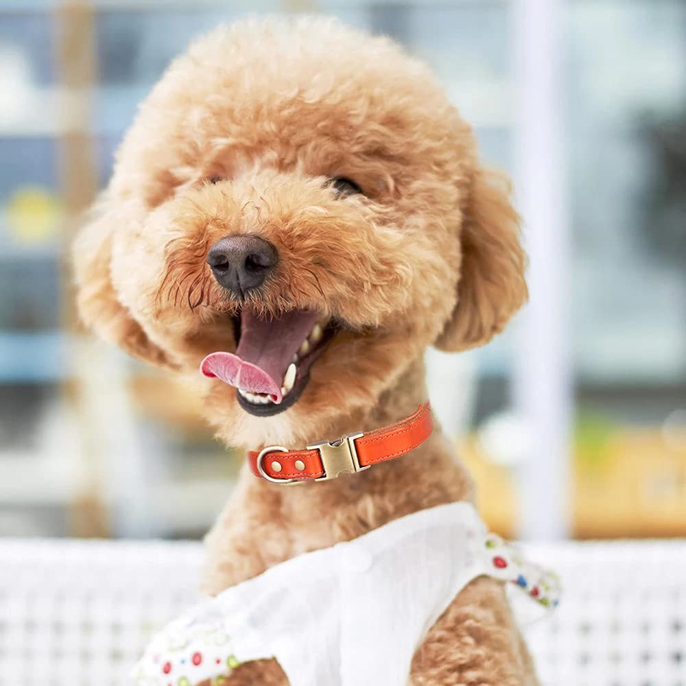 Amazon | 犬 首輪 革 犬の首輪 柔らかい 調節可能 小型犬 中型犬 大型
