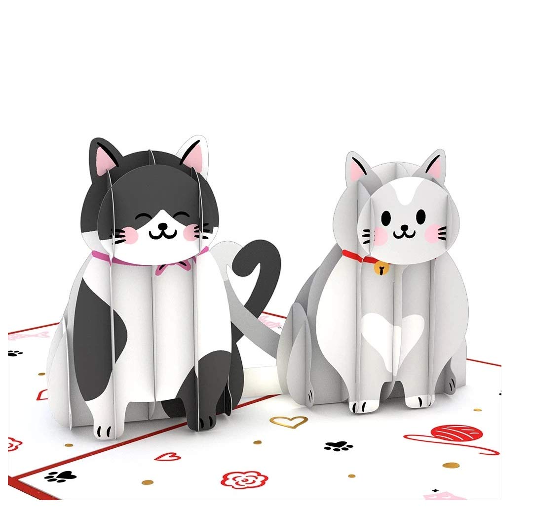 Lovepop Love Cats Funny 3D Pop-Up Birthday & Anniversary Card Card - for Him, Her, Kids, Boys, Girls, Men, Women - Also Great for Valentine's Day - 5"